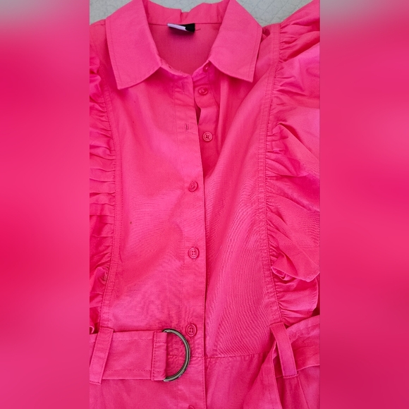 Pink Ruffled Button-Down Dress - Picture 4 of 15